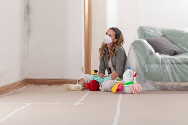 Reliable Commercial Mold Remediation contractor in Belleville, NJ by WQB Mold Removal